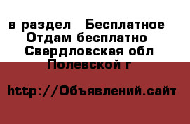  в раздел : Бесплатное » Отдам бесплатно . Свердловская обл.,Полевской г.